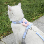 Cat Harness and Leash Sets Adjustable Dog Harness for Small Dog Leash Breashable Pet Harness Out Walking Dog Strap shimendi Sécurité et Confort pour Chien chat| Shimendi