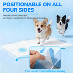 100/50/40/30 Pieces of Pet Pee Pads, Thickened and Deodorizing Dog Pee Pads, Essential for Dog Training, Highly Absorbent Disposable Pads, Dog Training Pads, Suitable as a Gift. - shimendi