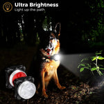 Pet Dog Led Light Lamp Tag Led Dog Collar Light Pendant Glow Night Safety Led Dogs Flashlight For Collar Harness Leash shimendi Sécurité et Confort pour Chien chat| Shimendi