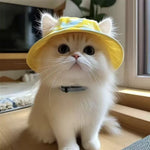 Summer Pet Cat Sun Hat with Ear Holes - Cute Kitten Fisherman Cap for UV Protection, Breathable Outdoor Sunshade Cap for Cats - shimendi