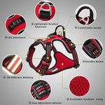 Truelove Pet Harness+Pet Leash Set Rope 110cm/200cm All-in-one Reflective Dog Harness No Pull Adjustable Buckles Dropshipping - shimendi