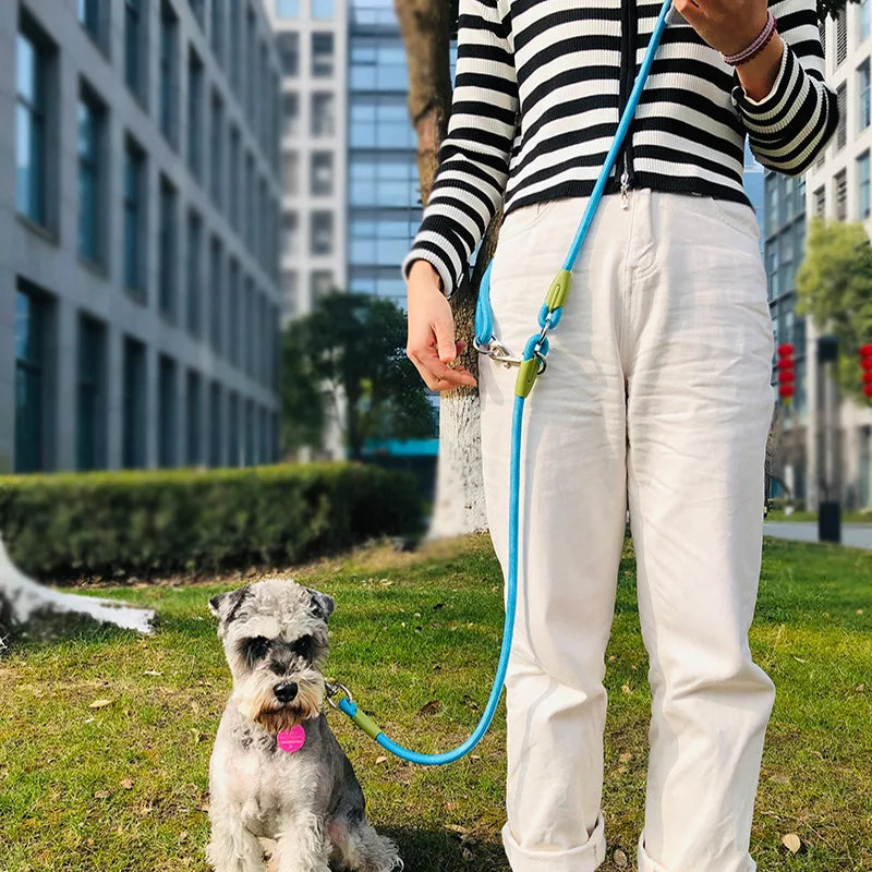 Reflective Nylon Leashes Pet Dogs Chain Traction Rope Leads for Running Dog Walking Free Hands Rope Chain for Small Large Dogs - shimendi