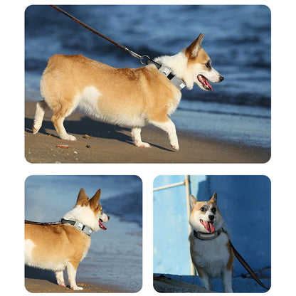 Truelove Pet Collar Reflective Multifunctional Personalized Dog Collar DuPont Soft Breathable Adjustable for Large Dogs TLC5611