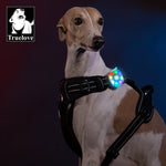 Truelove Safety LED Light for Pet Wear Collar Harness Backpack with Water Resistant and Long Continuous Battery Life TLD19102 - shimendi