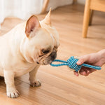 Interactive Cotton Rope Mini Dog Toys Ball for Dogs Accessories Toothbrush Chew Puppy Toy for Large Small Dogs Toy Pet Dog Toy - shimendi