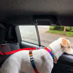 Solid Color Two-in-one Pet Car Seat Belt Nylon Lead Leash Backseat Safety Belt Adjustable Dogs Harness Collar Pet Accessories - shimendi
