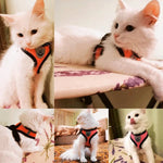Cat Harness Vest Walking Lead Leash For Puppy Dogs Collar Polyester Adjustable Mesh Dog Harness For Small Medium Pet Accessories shimendi Sécurité et Confort pour Chien chat| Shimendi