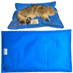 Animal Surgical Accessories Pet Vacuum Positioning Mat Small Veterinary Examination Pad Pet Care Room shimendi Sécurité et Confort pour Chien chat| Shimendi