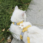 Cat Harness and Leash Sets Adjustable Dog Harness for Small Dog Leash Breashable Pet Harness Out Walking Dog Strap shimendi Sécurité et Confort pour Chien chat| Shimendi