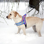 Warm Dog Harness Vest Winter Dog Harnesses Soft Padded Pet Training Harnesses Vests Adjustable For Small Large Dogs Bulldog Pug - shimendi