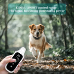 800m Digital Dog Training Collar Waterproof Rechargeable Remote Control Pet with LCD Display for All Size Shock Vibration Sound - shimendi