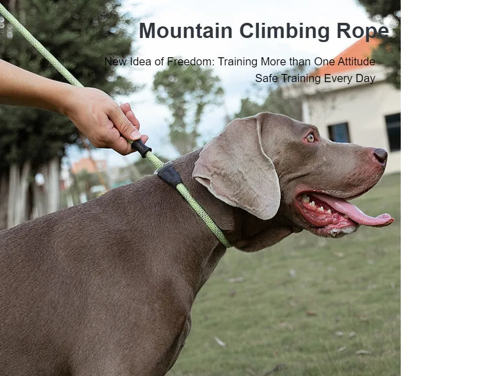 Truelove Pet Training Leash and Collar Durable Slip Lead Dog Leash Heavy Duty Comfortable Strong Rope Leash No Pull Pet TLL2575