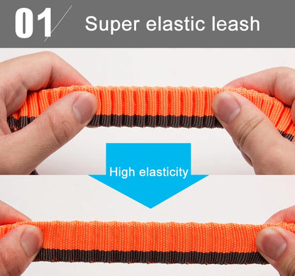 Truelove Pet Running Bungee Leash Hands Free Dog Leash Medium Large Dogs Professiona Carabiner Reflective Stitches NEW TLL2271