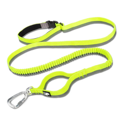 Truelove Pet Running Bungee Leash Hands Free Dog Leash Medium Large Dogs Professiona Carabiner Reflective Stitches NEW TLL2271