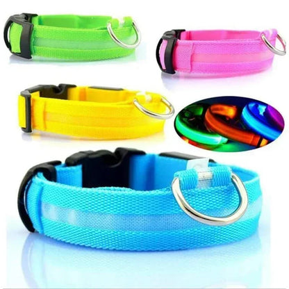 USB Charging LED Dog Collar Anti-lost Safety Night Light Luminous Dogs Necklace Adjustable Nylon Pet Glowing Collars Supplies