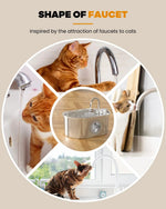 Cat water Fountain NautyPaws 3.2L stainless steel pet water dispenser automatic dog water dispenser with water level window shimendi Sécurité et Confort pour Chien chat| Shimendi