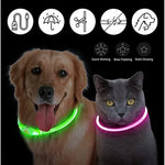 USB Rechargeable Luminous Collar Adjustable Led Glowing Dog Collar for Large Small Dogs Cat Night Light Collar Pet Safety Harnes - shimendi