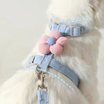 Cat Harness and Leash Sets Adjustable Dog Harness for Small Dog Leash Breashable Pet Harness Out Walking Dog Strap Cat Accessory shimendi Sécurité et Confort pour Chien chat| Shimendi