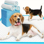 20-100pcs Super Absorbent Odor-Control Disposable Dog Diapers & Training Pads - shimendi