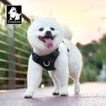 Truelove-Pet Harness with LED Light and Tracker Holder, 19 Modes, for Dog, Cat Time, Highly Recommended for Outdoor Use, TLH6771 - shimendi