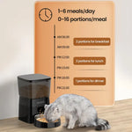ROJECO Automatic Pet Feeder Button Version Auto Cat Food Dispenser Accessories Smart Control Pet Feeder For Cats Dog Dry Food - shimendi