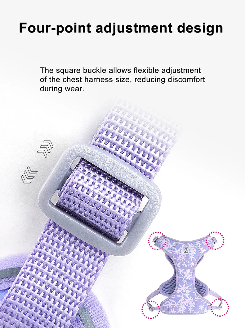 Truelove Pet Harness and Leash Set Ultra-Lightweight Breathable High Quality Nylon Mesh Reflective Night Training Dog TLH2918