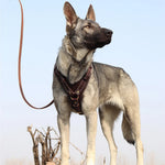Durable Large Dog Harness Genuine Leather Dog Vest Harnesses Adjustable Quick Control With Handle Pet Supplies For Labrador shimendi Sécurité et Confort pour Chien chat| Shimendi
