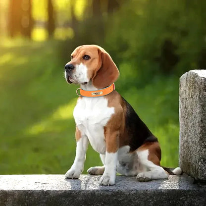 Customized PU Leather Nameplate Dog Collar Soft Padded Dogs Collars Free Engraving Name for Small Medium Large Dogs Adjustable