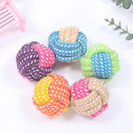 Interactive Cotton Rope Mini Dog Toys Ball for Dogs Accessories Toothbrush Chew Puppy Toy for Large Small Dogs Toy Pet Dog Toy - shimendi