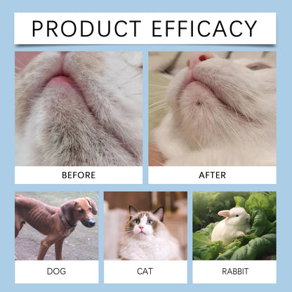 Pet Dental Care Kit for Dogs and Cats Teeth Cleaning Set Toothbrush 30ml Oral Solution Tartar Control Fresh Breath Gentle Hygien