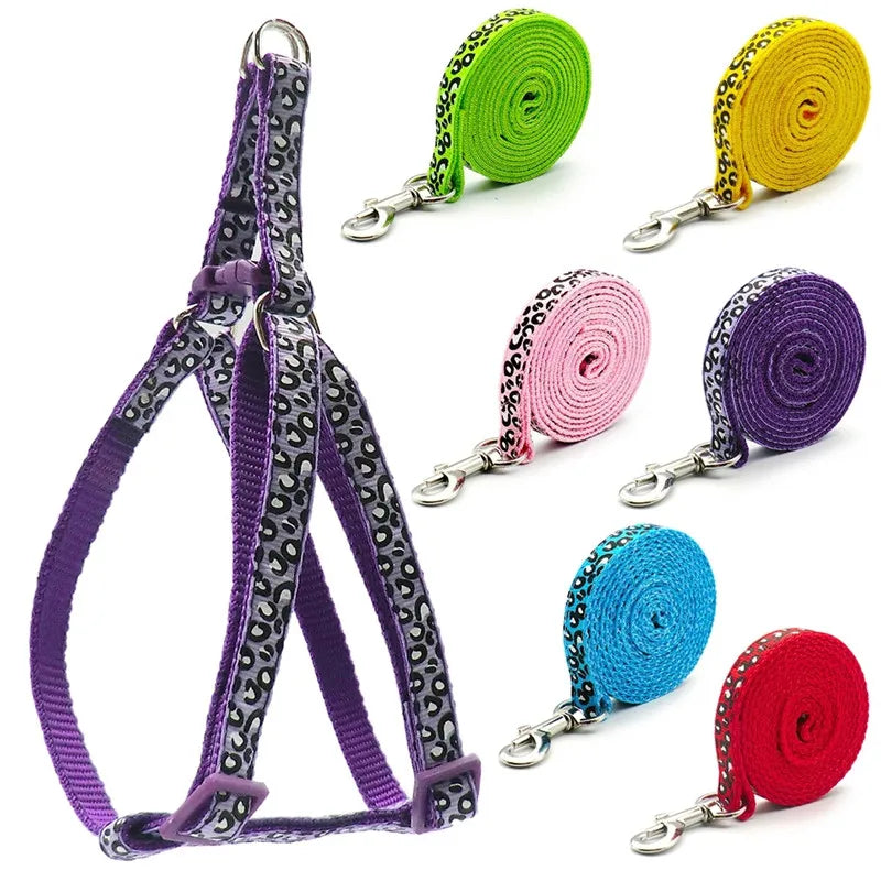 Fashion Small Dog Cat Harness Leash Adjustable Vest Collar Puppy Outdoor Walking Chihuahua Terrier Schnauzer Dogs Accessoires shimendi Sécurité et Confort pour Chien chat| Shimendi
