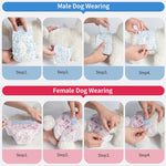 10Pcs Dog Diapers Males Females Disposable Nappies Pants Physiological Underwear Adjustable Leakproof Breathable Safety Pants shimendi Sécurité et Confort pour Chien chat| Shimendi