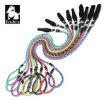 Truelove Pet Training Leash and Collar Durable Slip Lead Dog Leash Heavy Duty Comfortable Strong Rope Leash No Pull Pet TLL2575 shimendi Sécurité et Confort pour Chien chat| Shimendi