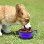 Durable TPR Portable Pet Food Bowl for Cats And Dogs Silicone Collapsible Travel Outdoor Water Food Bowl for Pets - shimendi
