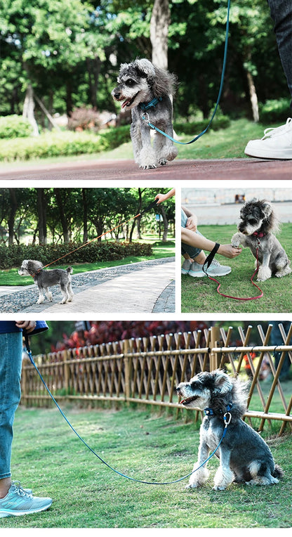 Truelove Lightweight Reflective Dog Leash High Quality Small Adjustable Pet Cat Set Cute Puppy Luxury Designer Dog Leash TLL2772