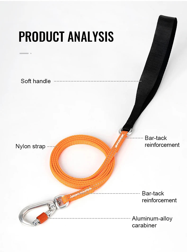 Truelove Lightweight Reflective Dog Leash High Quality Small Adjustable Pet Cat Set Cute Puppy Luxury Designer Dog Leash TLL2772