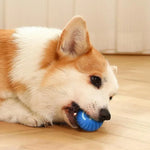 Pet Toy Ball Automatic Moving Dog Toy Ball Smart USB Jumping Rotating Interactive Dog Chew Toy Ball for Puppy Ball Toy - shimendi