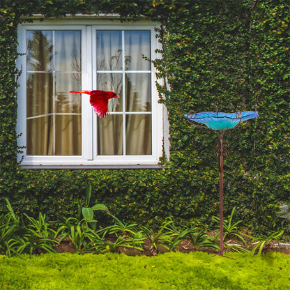 Large Outdoor Glass Bird Bath Garden Feeding Bowls Water Bath Spa Table Balcony