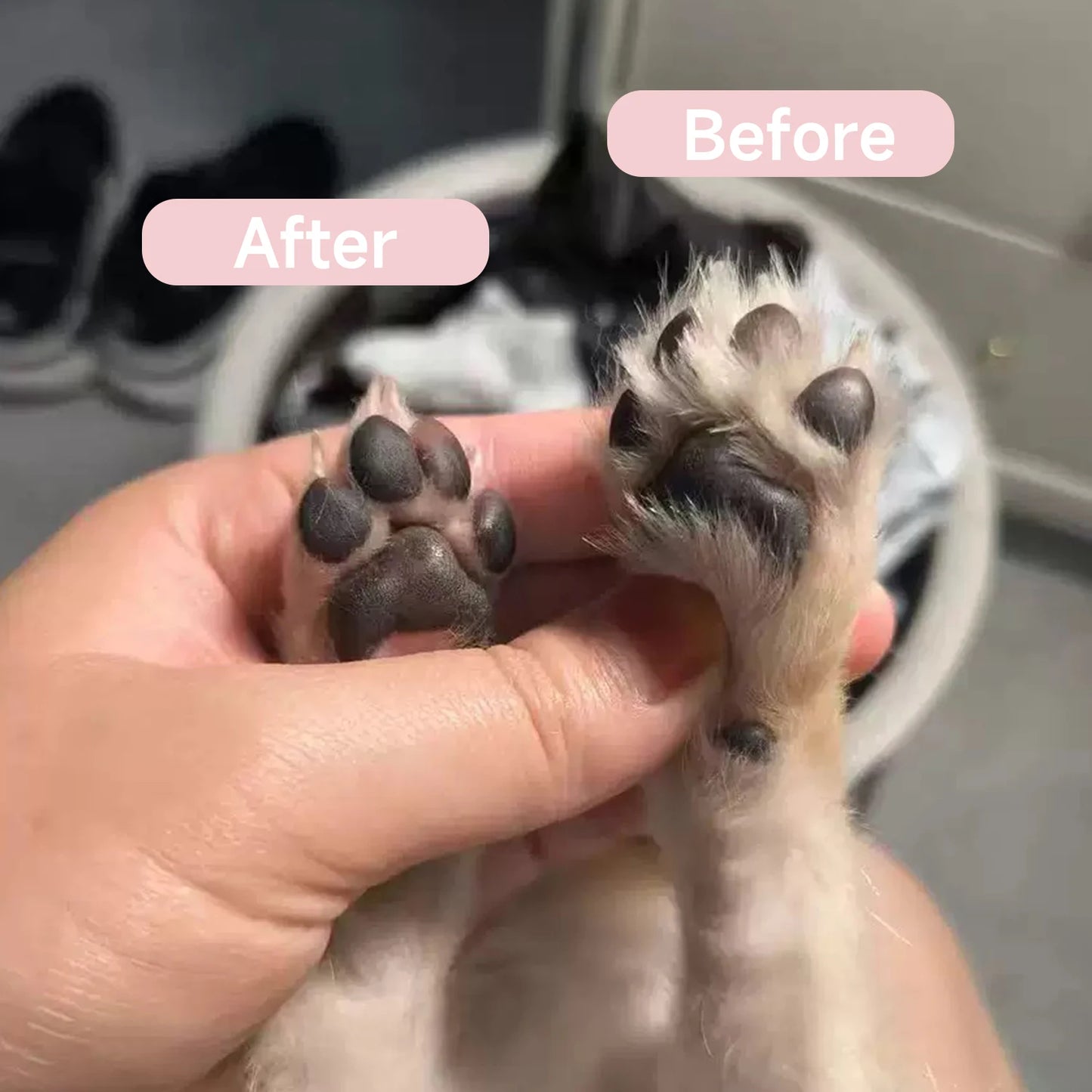 Pet care Trimmer Set-Low Noise dogs & Cats Trimmer, Wireless, LED & Waterproof