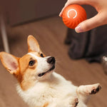 Smart Electric Ball Toy Gravity Jump Balls Dog Plaything USB Charging Automatic Teasing Dogs Artifact Intelligent Pet Cat Toys - shimendi