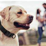 Heavy-Duty Military Tactical Dog Collar & Leash Set: Adjustable & Durable For All sized dog - shimendi