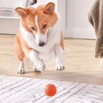 Pet Toy Ball Automatic Moving Dog Toy Ball Smart USB Jumping Rotating Interactive Dog Chew Toy Ball for Puppy Ball Toy - shimendi