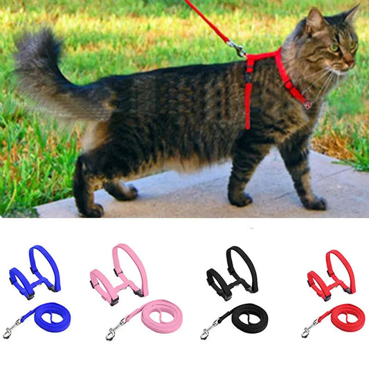 Adjustable Pet Cat Collar For Cats Cozy Nylon Rabbit Kitten Kedi Harness Leash Set Dog Cat Accessories Products For Pets shimendi Sécurité et Confort pour Chien chat| Shimendi