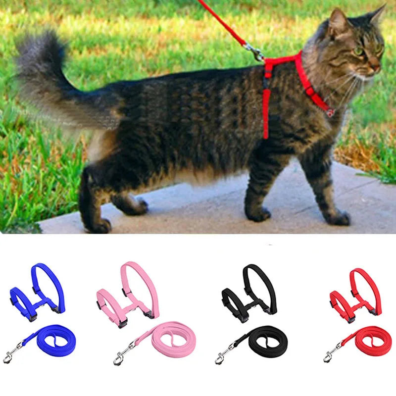 Adjustable Pet Cat Collar For Cats Cozy Nylon Rabbit Kitten Kedi Harness Leash Set Dog Cat Accessories Products For Pets shimendi Sécurité et Confort pour Chien chat| Shimendi