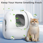 N50 Cat Litter Deodorizer Blocks - Strong Odor Eliminator, Long-Lasting Freshness, Refillable Cubes for Litter Box Odor Control - shimendi
