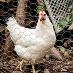 25M Roll Welded Chicken Wire Mesh Animal Fence Barrier Garden Fencing Net Strong shimendi Sécurité et Confort pour Chien chat| Shimendi