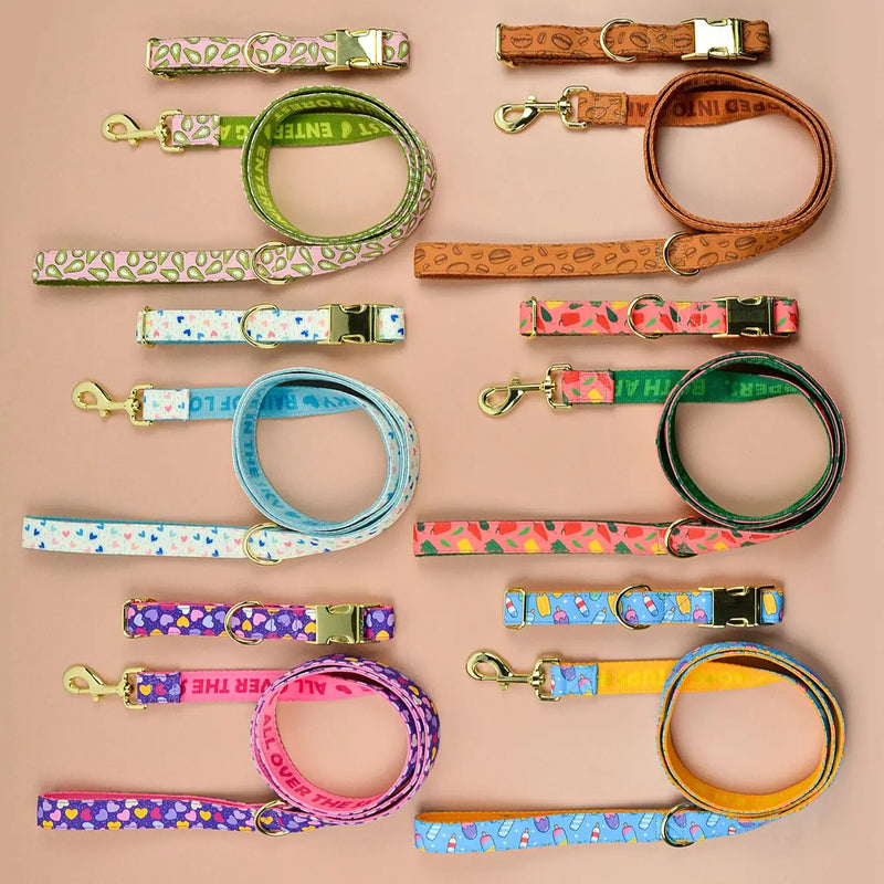 Luxury Brand Summer Colorful Season Adjutable Dog Collar And Leash Set For Small Medium Large Dogs - shimendi