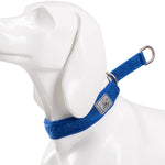 TRUELOVE Pet Collar Nylon Webbing P-chain Explosion-proof Neoprene Padding Pets Running Training Large Medium Small Dogs YC1851 - shimendi