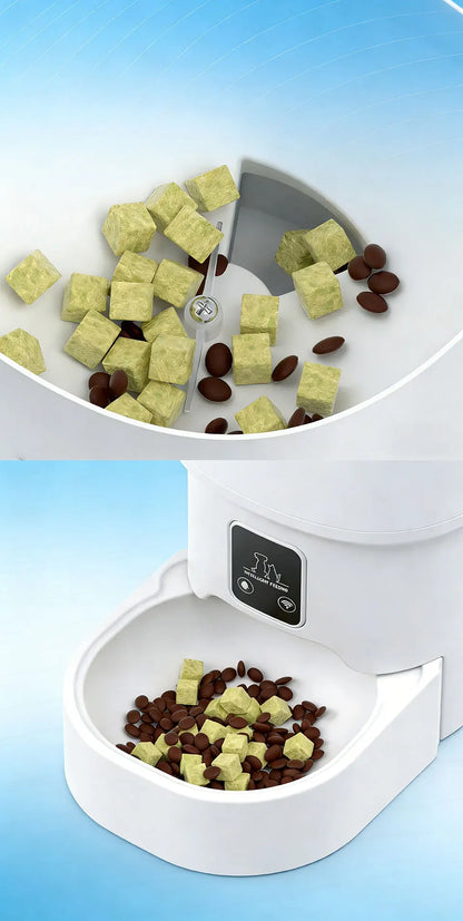 Raymax 4L WIFI Button Automatic Cat Feeder Intelligent Cat and Dog Pet Feeder Smart Pet Cat Food Dispenser Pet Feeder(No 5V 1A)