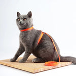 Adjustable Pet Cat Collar For Cats Cozy Nylon Rabbit Kitten Kedi Harness Leash Set Dog Cat Accessories Products For Pets shimendi Sécurité et Confort pour Chien chat| Shimendi